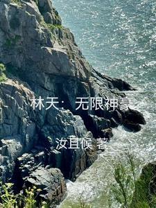 林天无弹窗